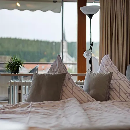 Schwarzwald Hoelltalblick Daire