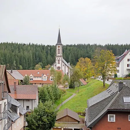 Schwarzwald Hoelltalblick Daire Schönwalde